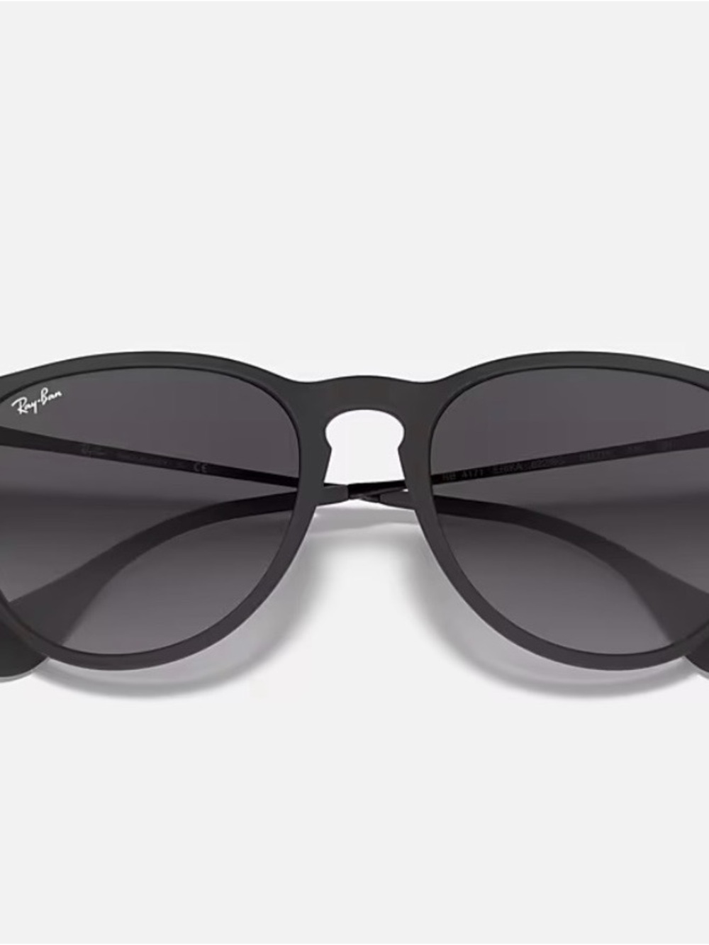 Ray-Ban Black Erika Sunglasses